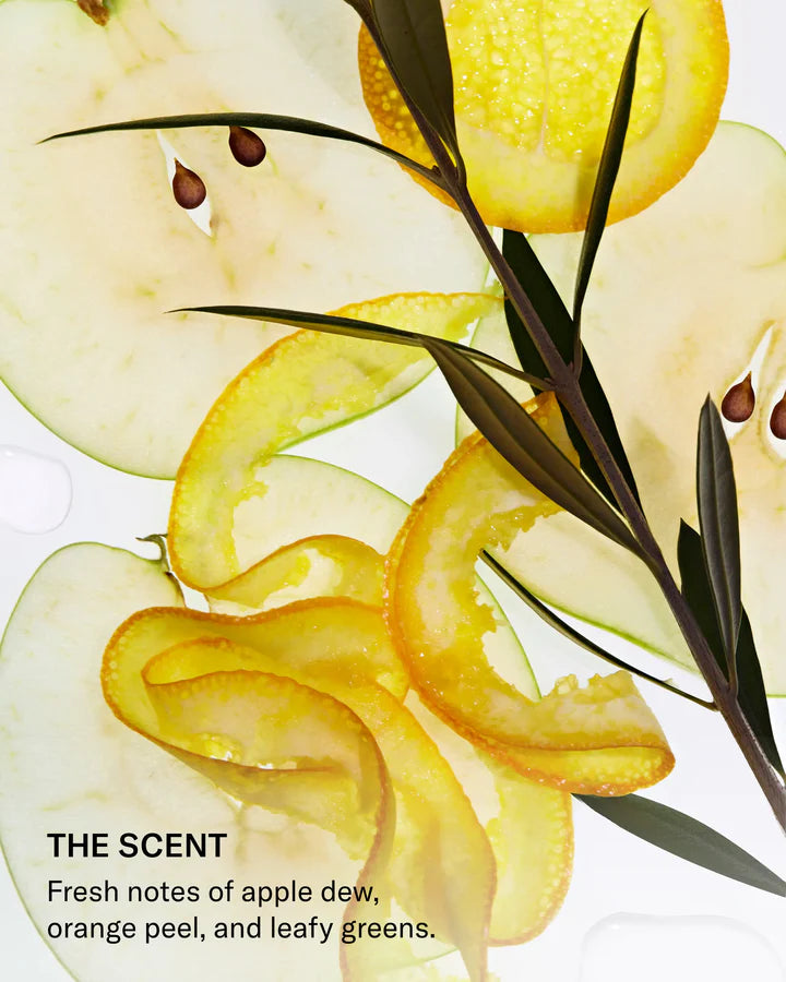 SEEN | Essential Bundle (Scented)